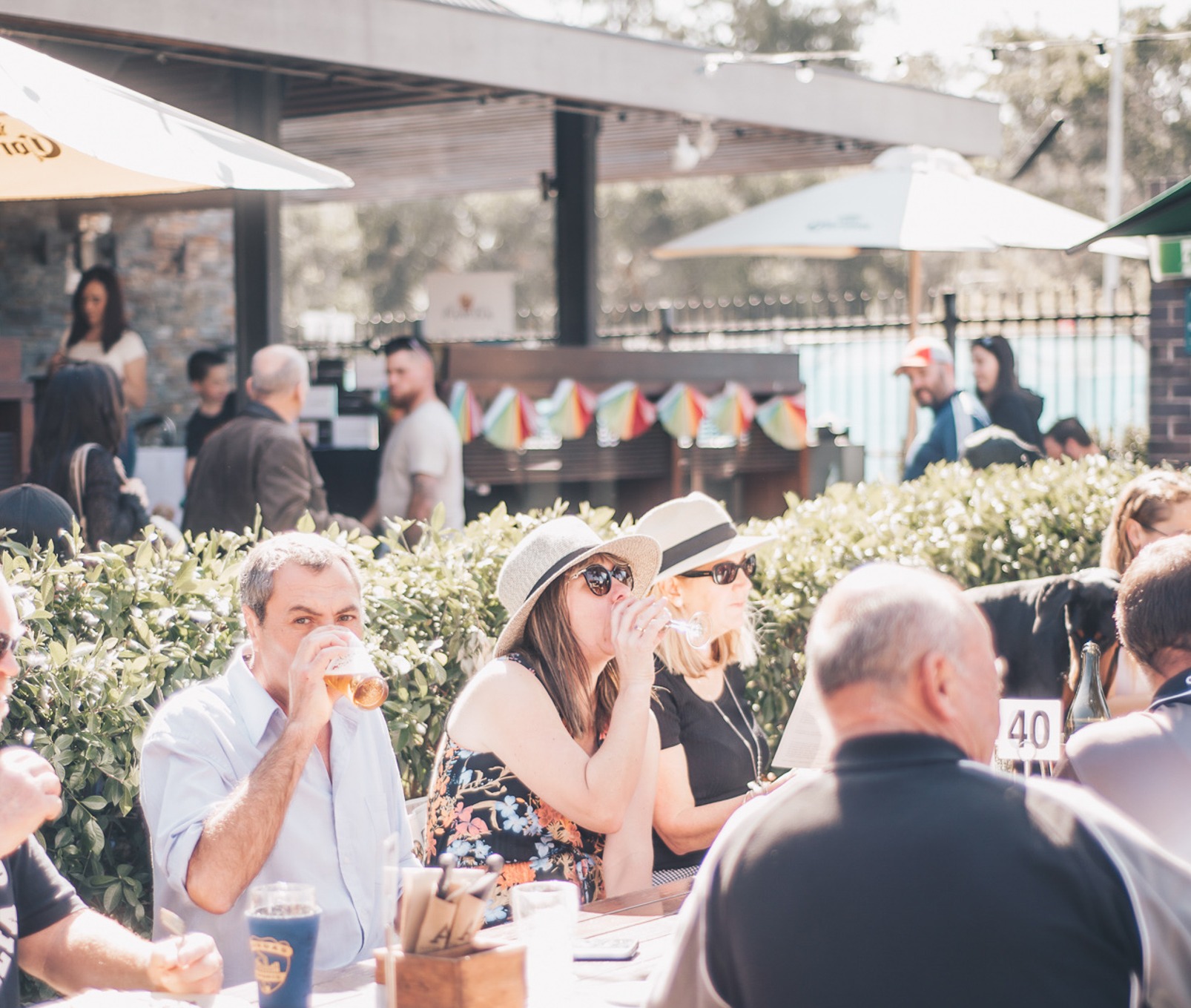 Albion Hotel (Parramatta)