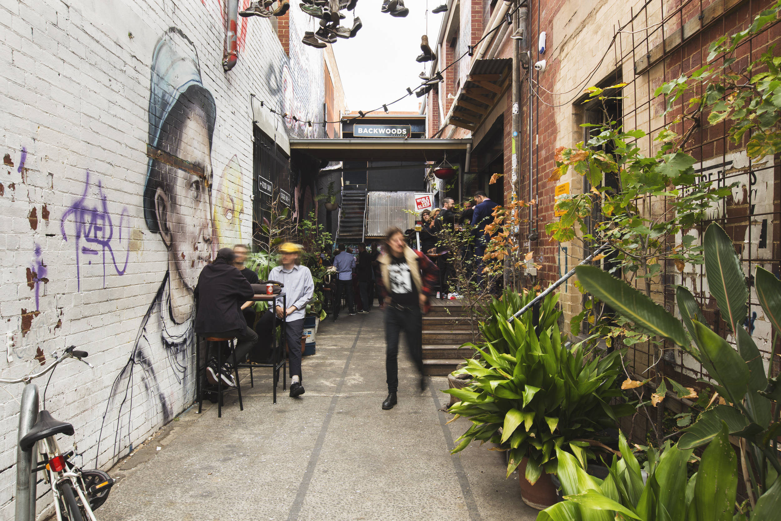 Paradise Alley