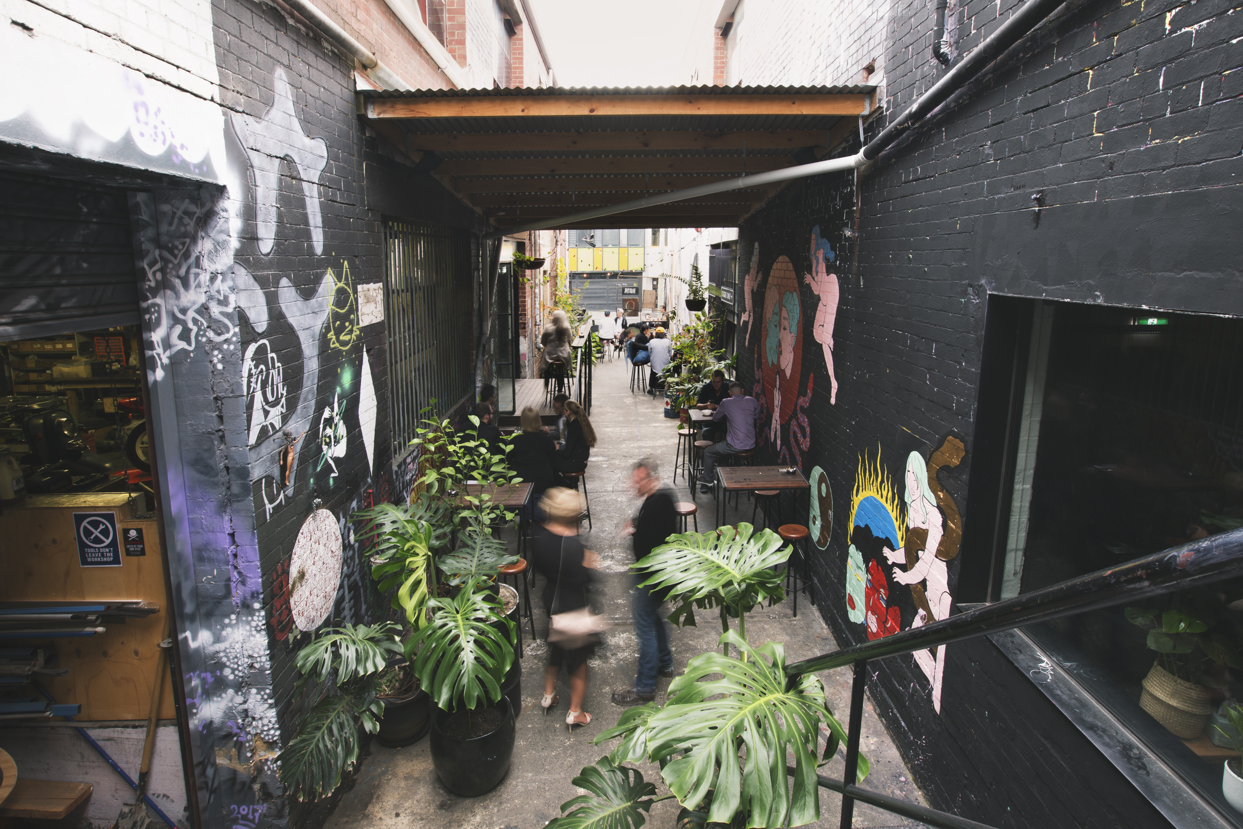 Paradise Alley